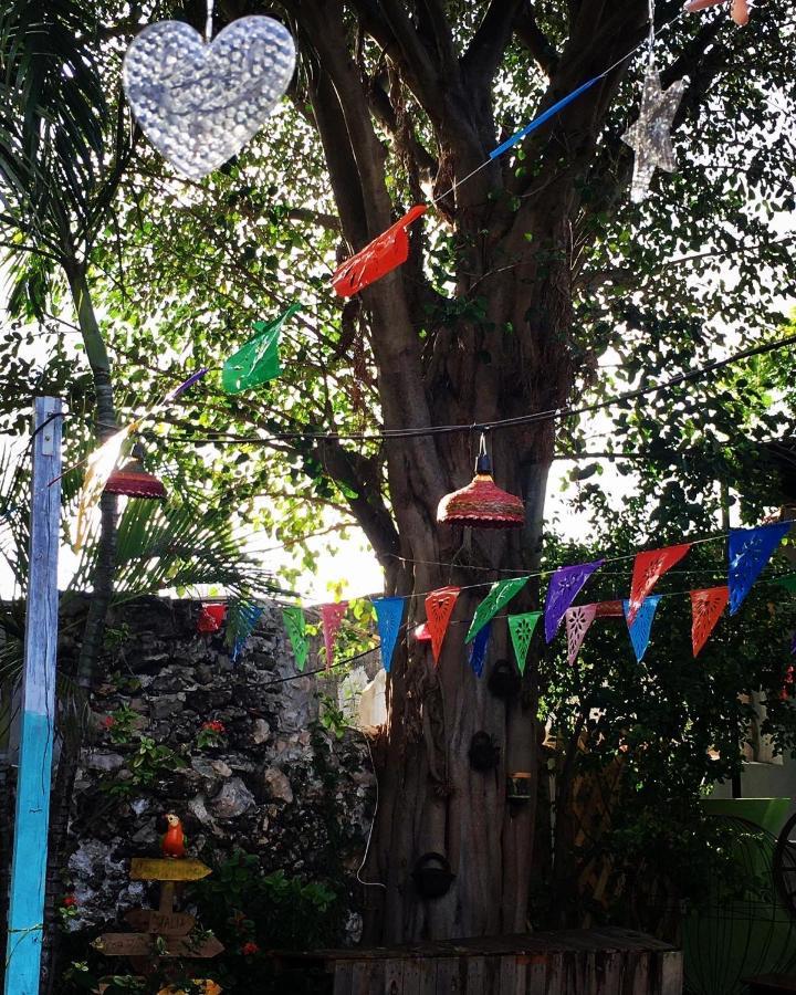 La Casa De La 12 Hostel Καμπέτσε Εξωτερικό φωτογραφία